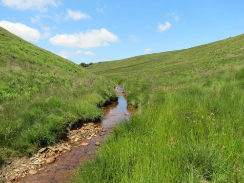 10a.-Below-Little-Ashcombe-downstream-from-Ravens-nest-9