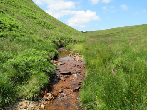 11.-Below-Little-Ashcombe-upstream-from-Warrens-Bridge-1