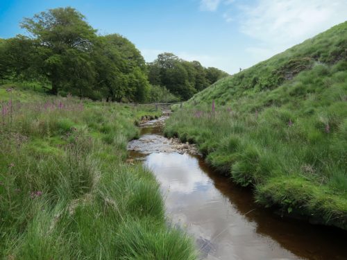 11.-Below-Little-Ashcombe-upstream-from-Warrens-Bridge-11