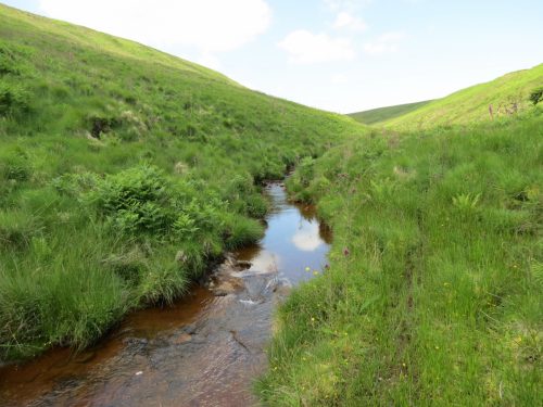 11.-Below-Little-Ashcombe-upstream-from-Warrens-Bridge-13