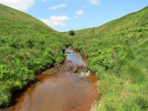 11.-Below-Little-Ashcombe-upstream-from-Warrens-Bridge-15
