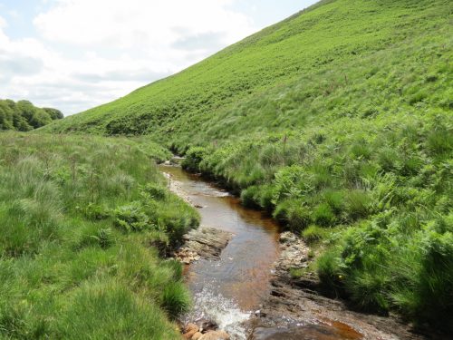 11.-Below-Little-Ashcombe-upstream-from-Warrens-Bridge-17
