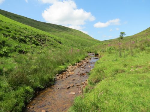 11.-Below-Little-Ashcombe-upstream-from-Warrens-Bridge-18