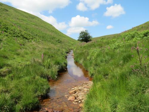 11.-Below-Little-Ashcombe-upstream-from-Warrens-Bridge-3