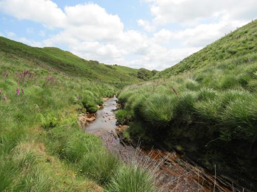 11.-Below-Little-Ashcombe-upstream-from-Warrens-Bridge-5