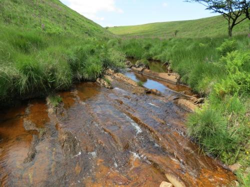 11.-Below-Little-Ashcombe-upstream-from-Warrens-Bridge-7