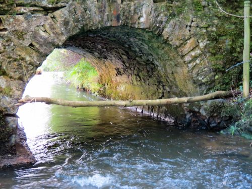 11.-Combe-Bridge-upstream-arch-4