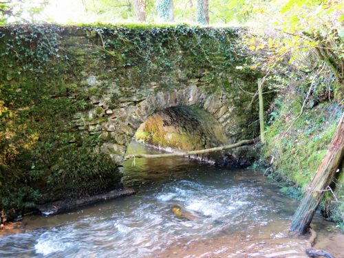 11.-Combe-Bridge-upstream-arch-5