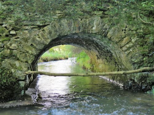 11.-Combe-Bridge-upstream-arch-6