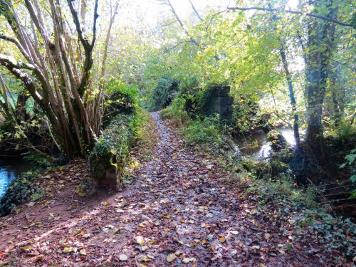 11.-Cothay-ROW-Footbridge-No.-5261-2