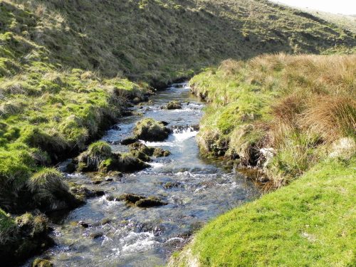 11.-Downstream-from-Aclands-Farm-2