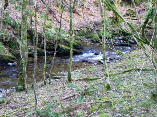 11.-Downstream-from-Bridge-Ball-2