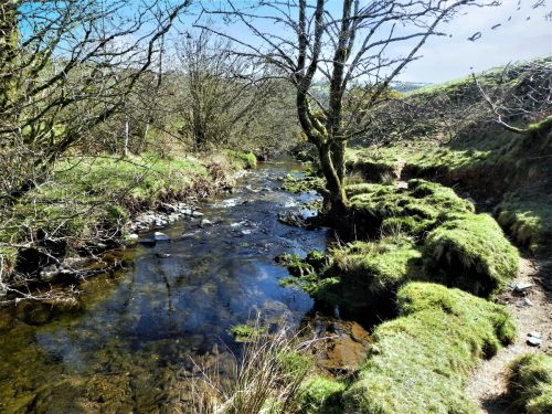 11.-Downstream-from-Cloggs-Farm-2