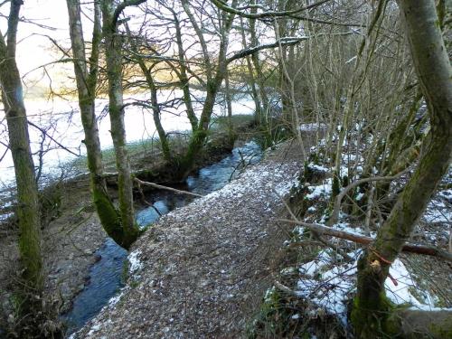 11.-Downstream-from-Codsend-Bridge-2