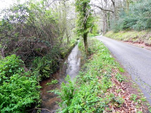 11.-Downstream-from-Dunster-Mill-Leat-Weir-2