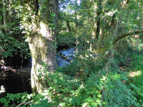 11.-Downstream-from-Gardeners-Bridge-2