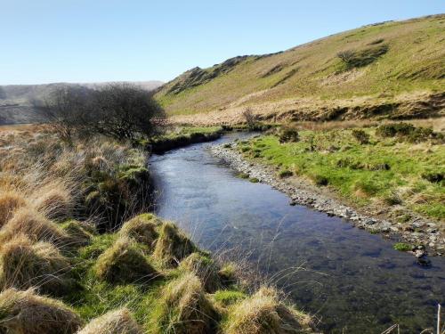 11.-Downstream-from-Halscombe-Water-2