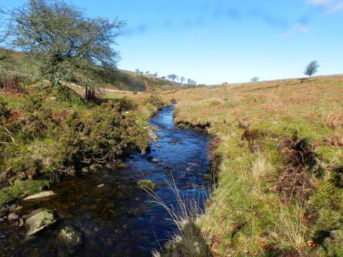 11.-Downstream-from-Hoar-Oak-Tree-2