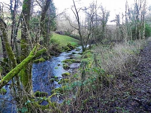 11.-Downstream-from-ROW-Bridge-10