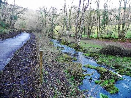 11.-Downstream-from-ROW-Bridge-11
