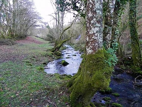 11.-Downstream-from-ROW-Bridge-12