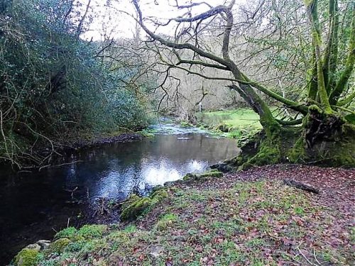 11.-Downstream-from-ROW-Bridge-13