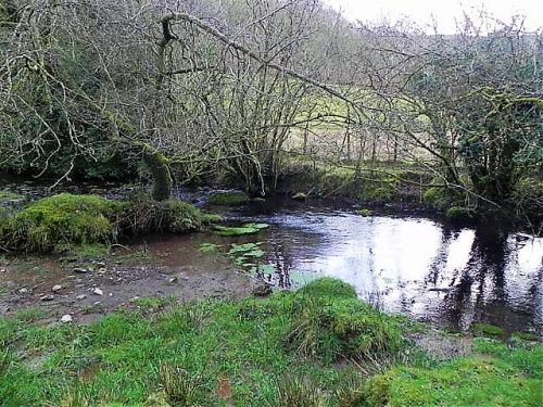 11.-Downstream-from-ROW-Bridge-14