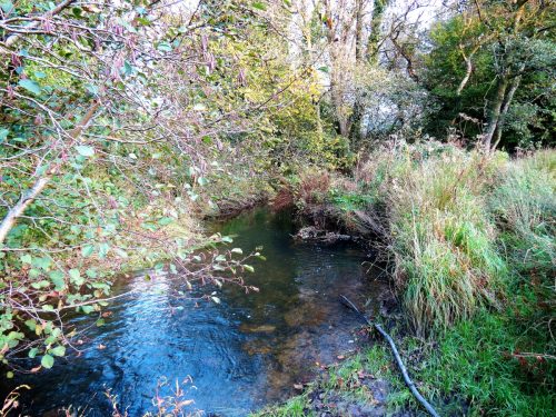 11.-Downstream-from-ROW-Bridge-5117-12