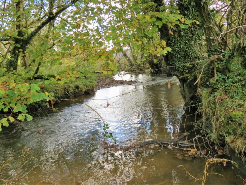 11.-Downstream-from-ROW-Bridge-5117-14