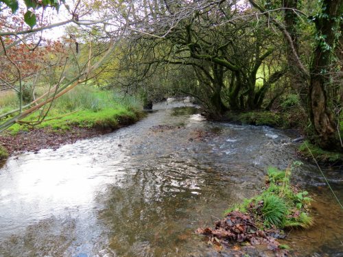 11.-Downstream-from-ROW-Bridge-5117-15