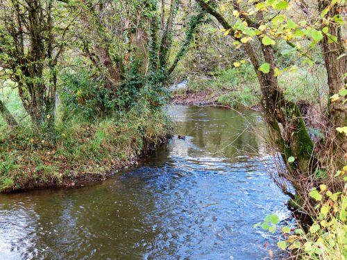 11.-Downstream-from-ROW-Bridge-5117-16