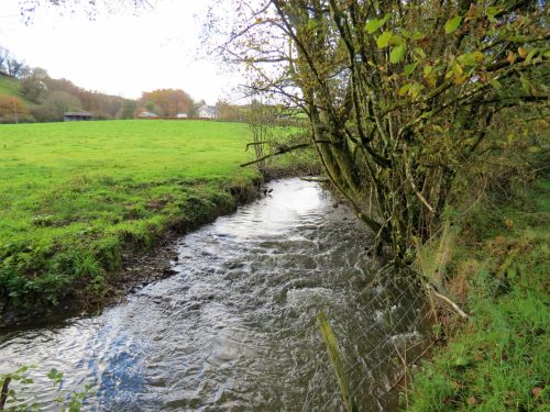 11.-Downstream-from-ROW-Bridge-5117-17
