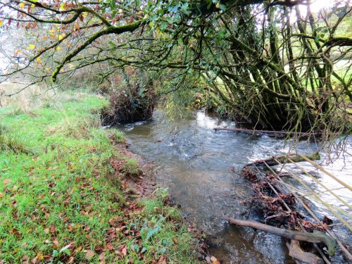 11.-Downstream-from-ROW-Bridge-5117-18