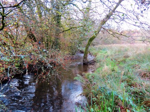 11.-Downstream-from-ROW-Bridge-5117-20