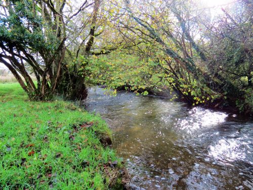 11.-Downstream-from-ROW-Bridge-5117-21