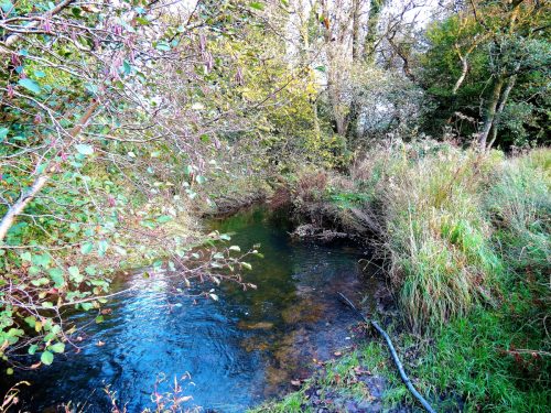 11.-Downstream-from-ROW-Bridge-5117-22