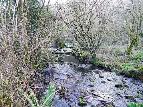 11.-Downstream-from-ROW-Bridge-8