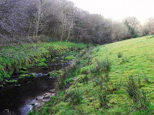 11.-Downstream-from-ROW-Bridge-9