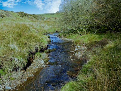 11.-Downstream-from-Upper-Willingford-Bridge-2