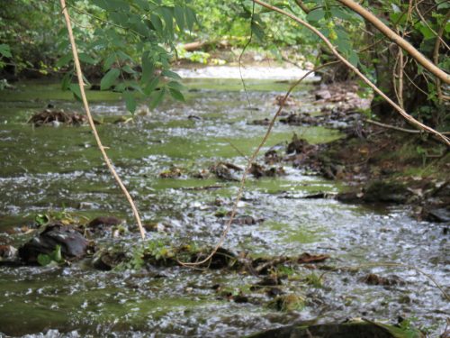 11.-Downstream-from-Waterrow-Bridge