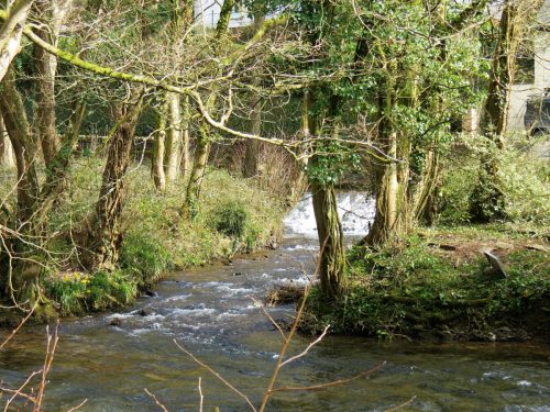 11.-Dulverton-weir-Leat-return-to-Barle-3