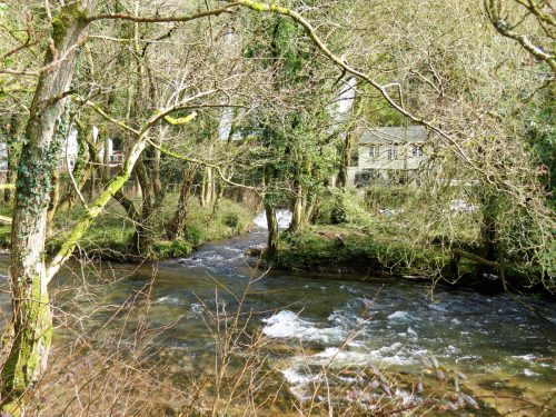 11.-Dulverton-weir-Leat-return-to-Barle-4