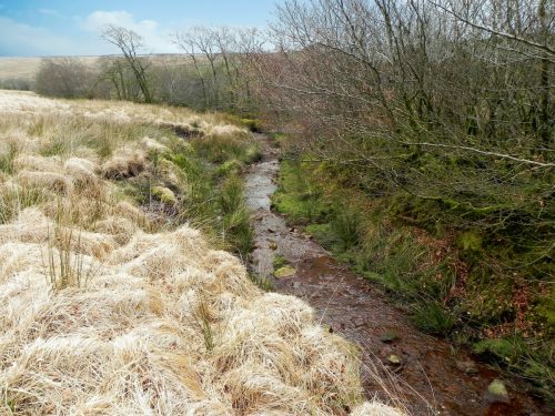 11.-Early-stream-approx-400-metres-from-source-2