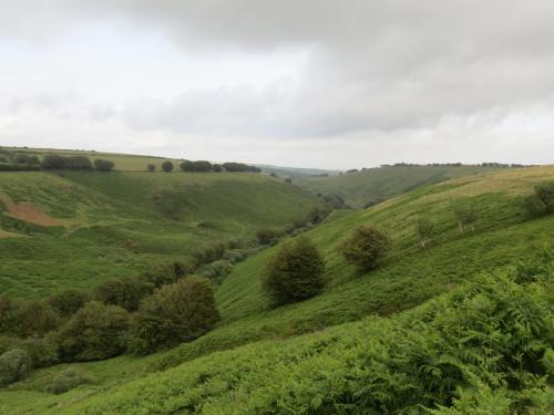 11.-Exe-Valley-from-Three-Combe-Hill-looking-downstream-2