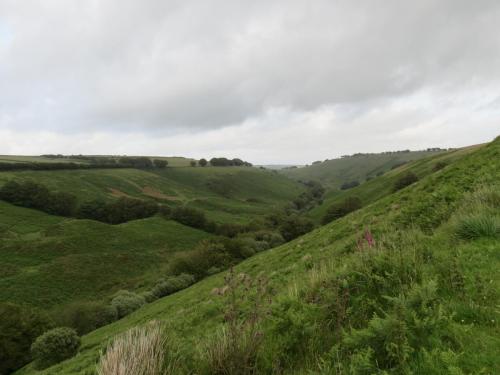 11.-Exe-Valley-from-Three-Combe-Hill-looking-downstream-3