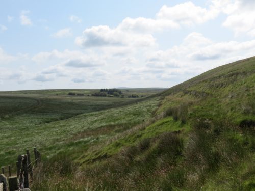 11.-Exe-valley-looking-downstream-to-Exe-Bridge