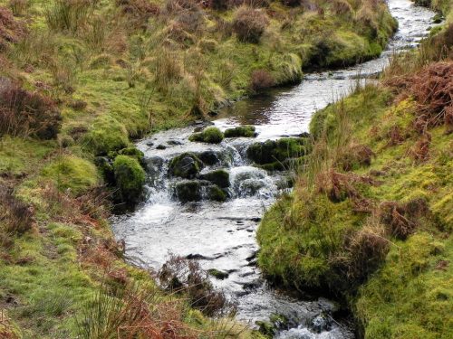11.-Flowing-below-Black-Berrow-2