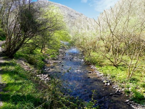 11.-Flowing-below-Heddon-Mouth-Wood-2