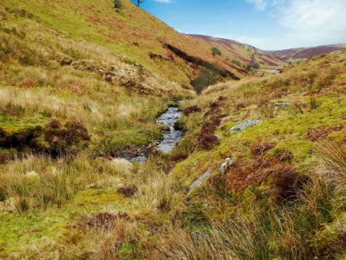 11.-Flowing-below-Hoar-Tor-2