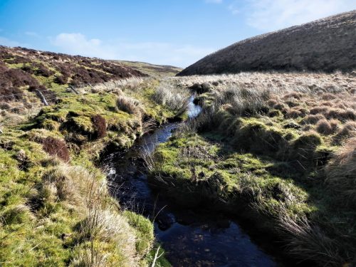 11.-Flowing-below-Hoccombe-Hill-2